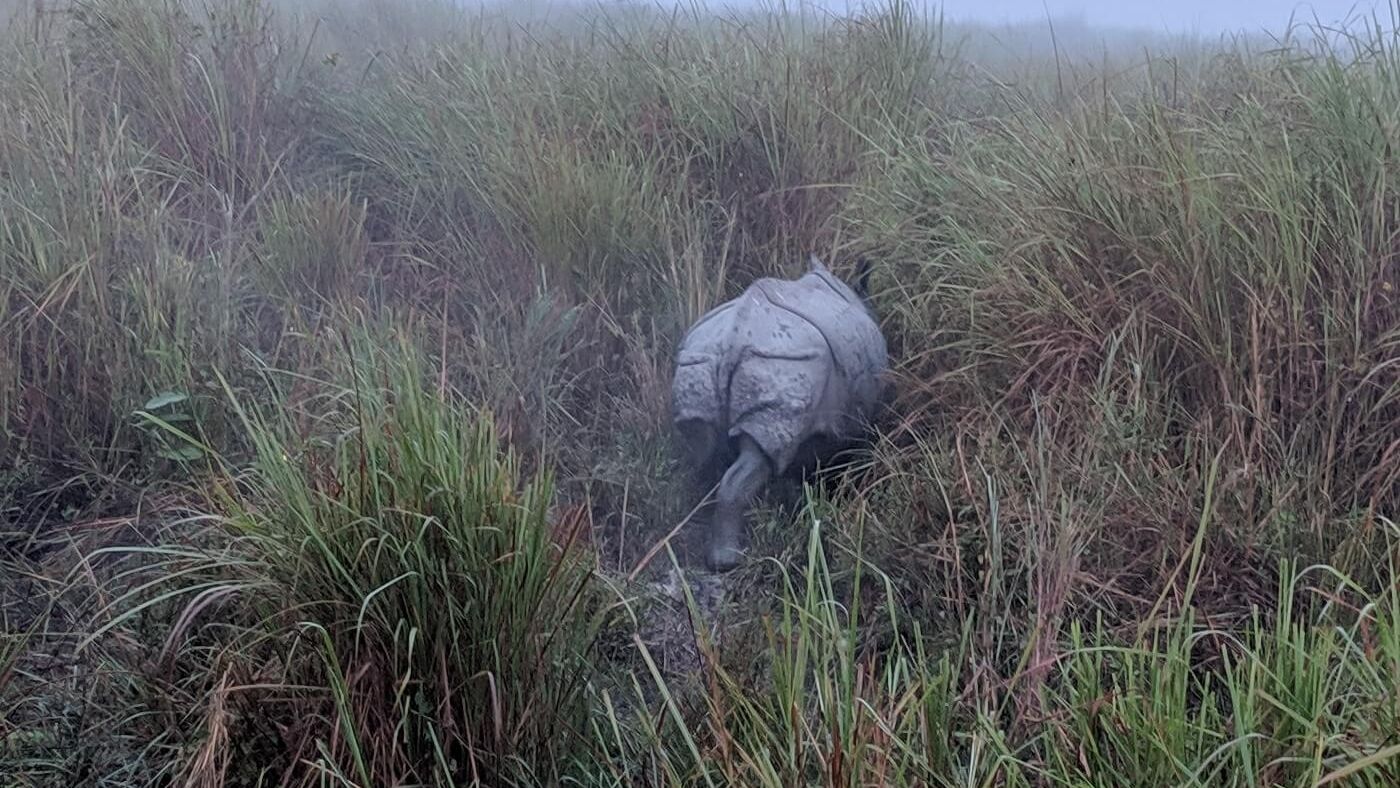 Awesome Assam – The Land of the Rhinos and Tea