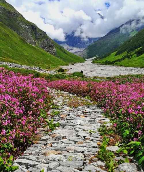 Hemkund Sahib Trek Package and Valley of Flowers Trek Packages (2)