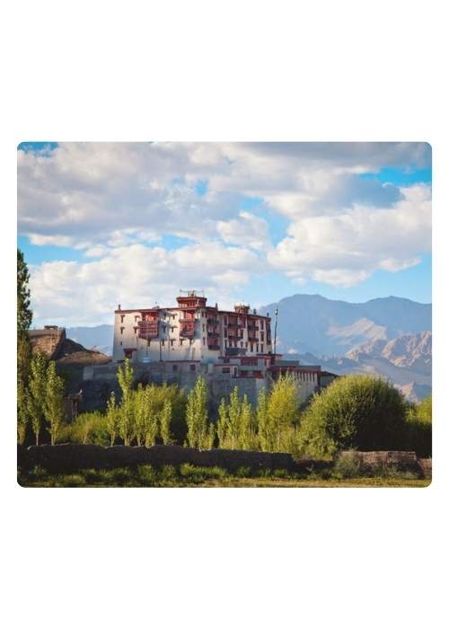 Stok Palace hotel in Ladakh (4)